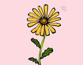 Dibujo Flor de campo pintado por maria2eco
