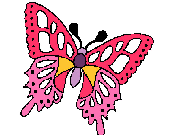 mariposa