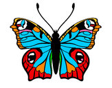 Dibujo Mariposa 20 pintado por blaki