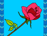 Dibujo Rosa pintado por Gabriel_h