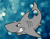 Dibujo Tiburón enfadado pintado por alizandro