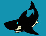 Dibujo Tiburón enfadado pintado por Beleem