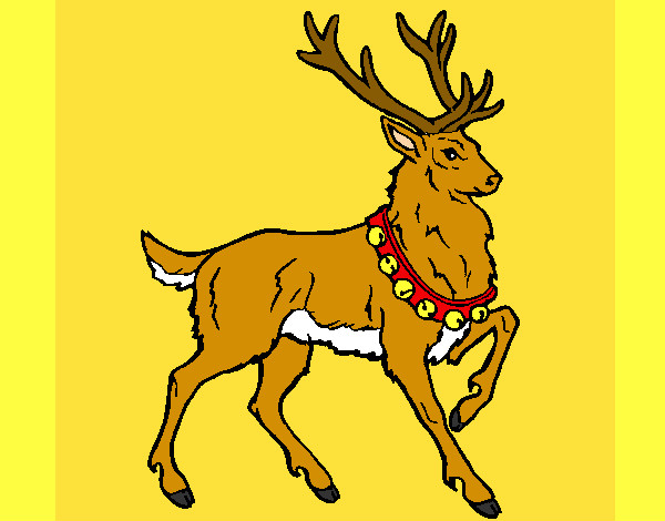 Venado