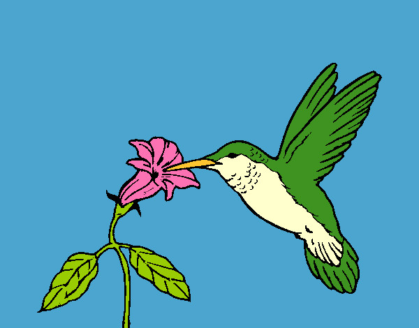 Dibujo Colibrí y una flor pintado por loaC