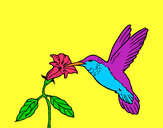 Dibujo Colibrí y una flor pintado por marjoca