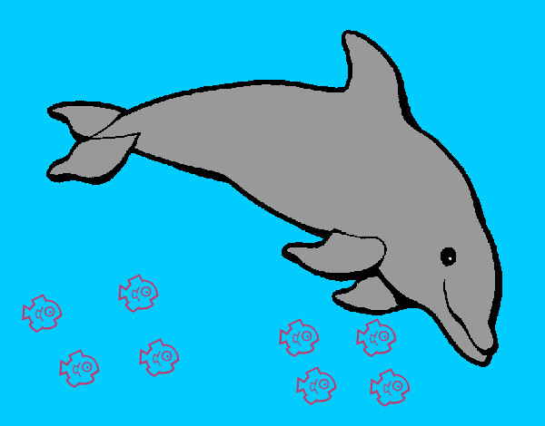 el delfin bailarinn