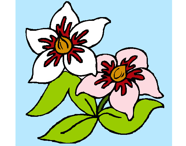 Dibujo Flores 3 pintado por jeji