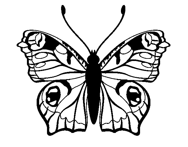Dibujo Mariposa 20 pintado por leitomp