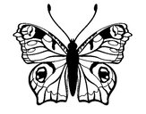 Dibujo Mariposa 20 pintado por leitomp