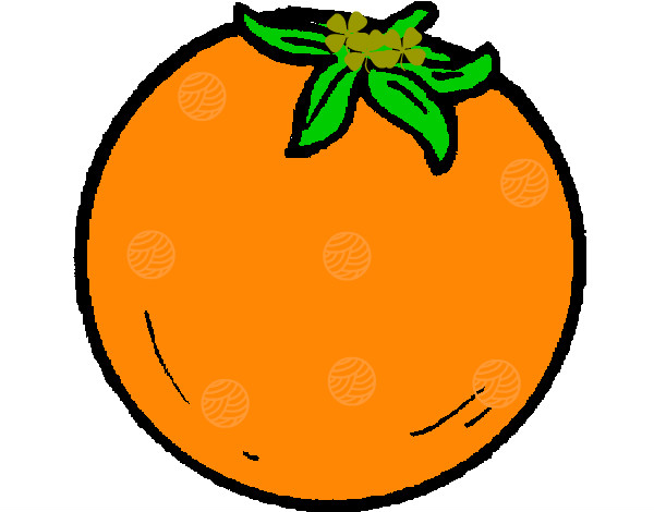 Dibujo naranjas pintado por maryquilla