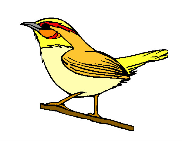 Dibujo Pájaro silvestre pintado por marychuy