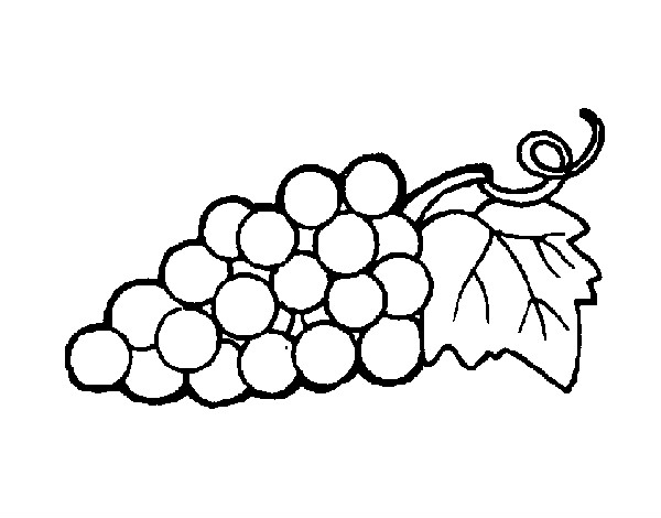 racimo de uvas