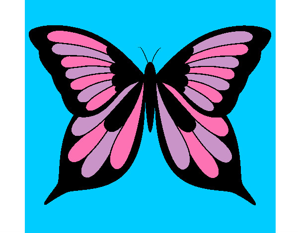 mariposa daniela