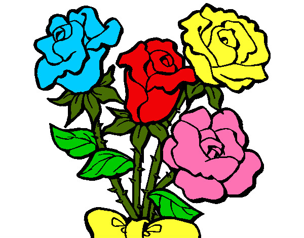 rosas coloridas