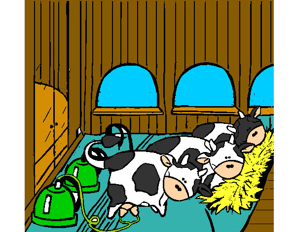 vacas en un establo