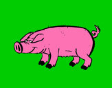Dibujo Cerdo con pezuñas negras pintado por friki