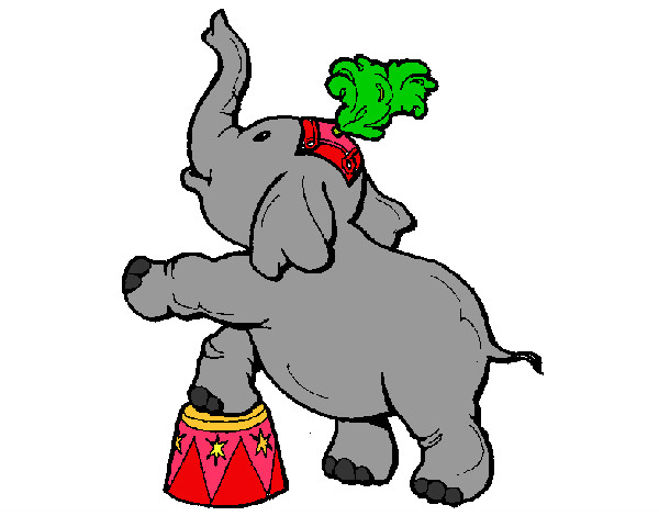 =) Elephant