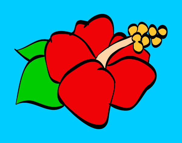 Flor lagunaria