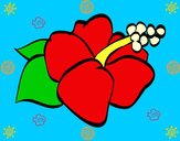 Dibujo Flor de lagunaria pintado por picassa