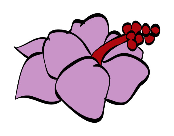 Dibujo Flor de lagunaria pintado por samantina1