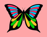 Dibujo Mariposa 19 pintado por picassa