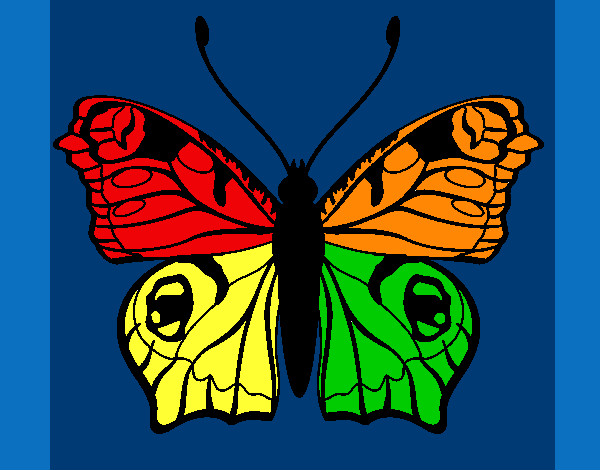 mariposa de colres del arcoiris