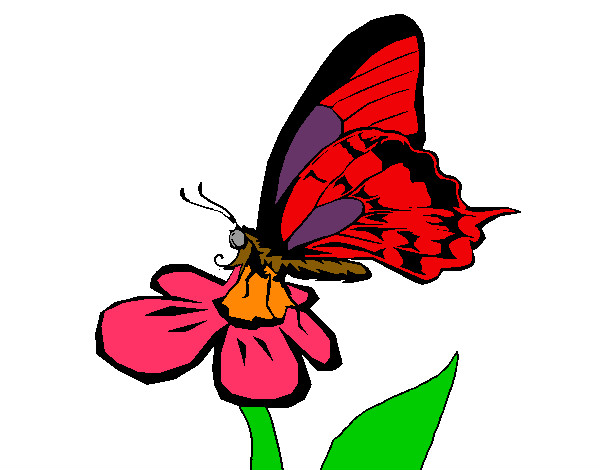Dibujo Mariposa en una flor pintado por blaki