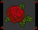 Dibujo Rosa 2 pintado por Meretseger