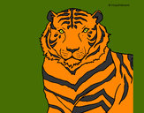 Dibujo Tigre 3 pintado por Lenka