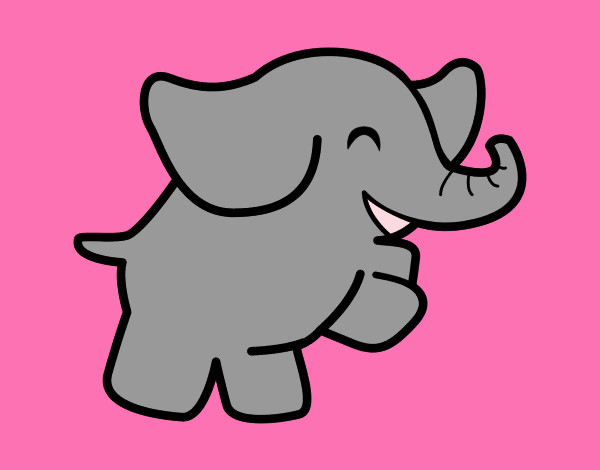 elefante