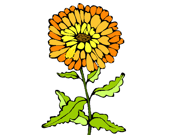 Dibujo de flor de muertos pintado por Nathfranco en  el día  12-07-12 a las 22:11:27. Imprime, pinta o colorea tus propios dibujos!
