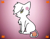 Dibujo Gato con flequillo II pintado por yuerina
