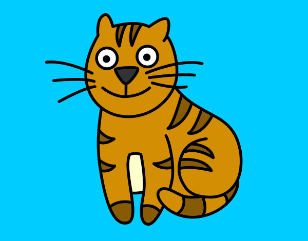 Dibujo Gato simpático pintado por pececillo