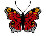 Dibujo Mariposa 20 pintado por ress