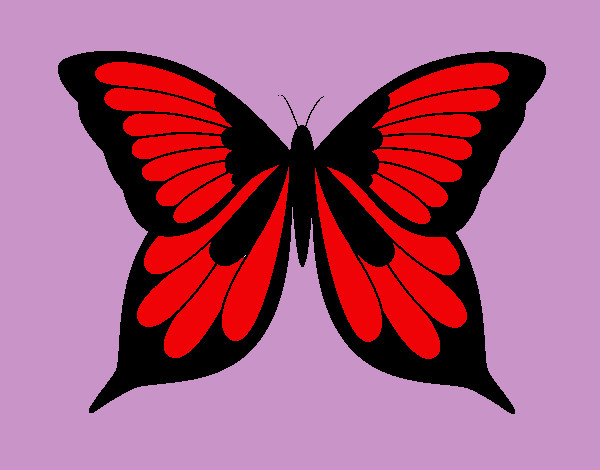 Dibujo Mariposa 8 pintado por davitd