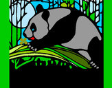 Dibujo Oso panda comiendo pintado por luiis03