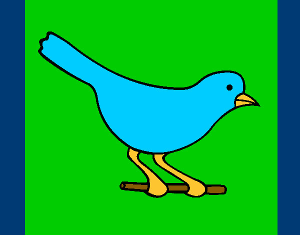 Dibujo Pájaro 4 pintado por solana1611