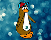 Dibujo Pingüino con gorra pintado por zule