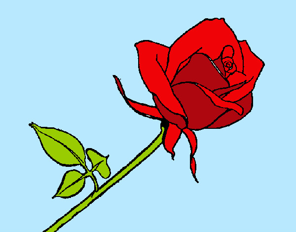 Dibujo Rosa pintado por charriiiii