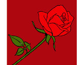 Dibujo Rosa pintado por eve-smiles