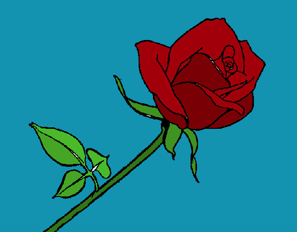 Dibujo Rosa pintado por yuerina