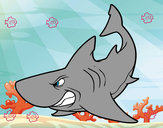 Dibujo Tiburón enfadado pintado por carlos_6