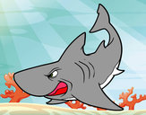 Dibujo Tiburón enfadado pintado por cucui1233