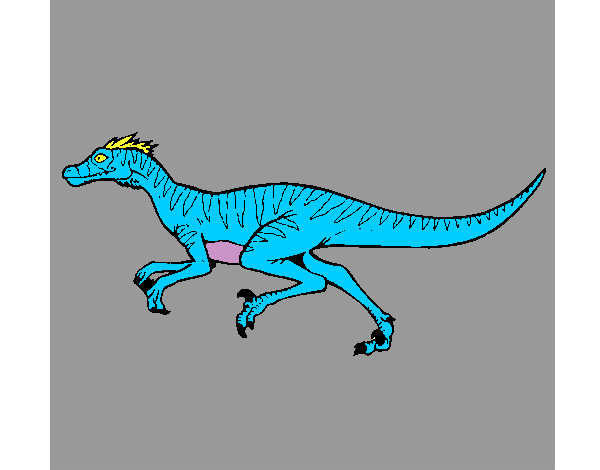Dibujo Velociraptor pintado por servain