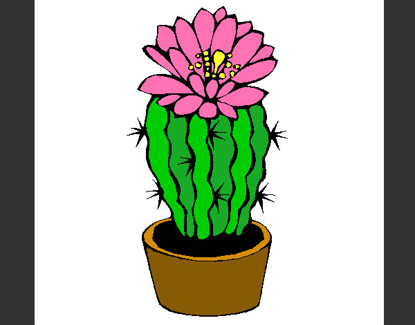 Dibujo Cactus con flor pintado por Mayraa