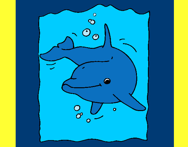 el delfin dulce
