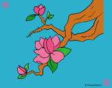 Dibujo Flor de almendro pintado por erina