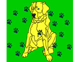 Dibujo Labrador pintado por loliliti