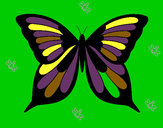 Dibujo Mariposa 8 pintado por yolenny