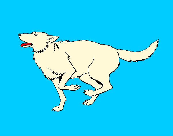 Dibujo Perro corriendo pintado por dumbass